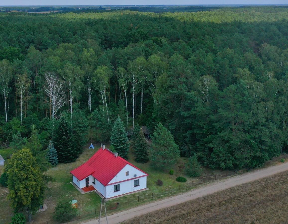 Agroturystyka "Lesne Zacisze Na Podlasiu" Tuczna Kültér fotó